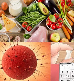 ovulation and fertility boosting foods